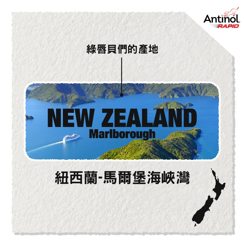 紐西蘭馬爾堡峽灣