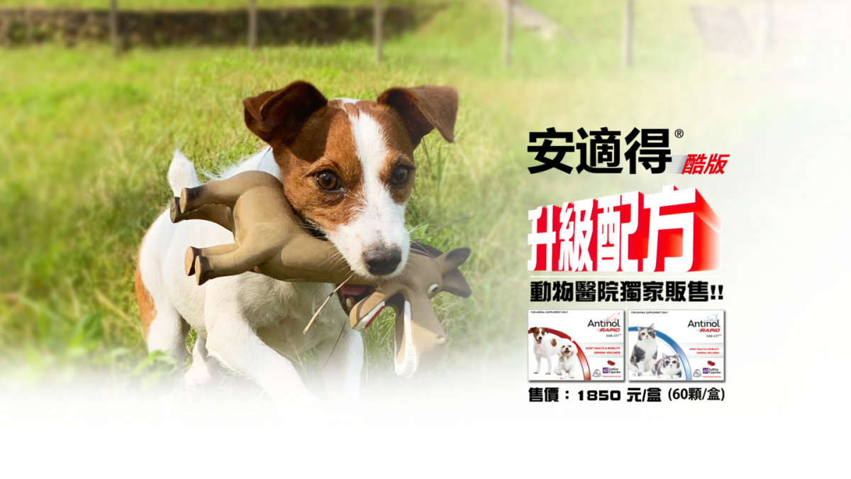 [問題] 安適得問題